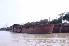 Số tàu khai thác cát trái phép trên sông Hồng bị Phòng Cảnh sát đường thủy (PC68) Công an thành phố Hà Nội bắt giữ tại Cảng Hồng Vân ở huyện Thường Tín ngày 4/11. (Ảnh: Doãn Tấn/TTXVN)