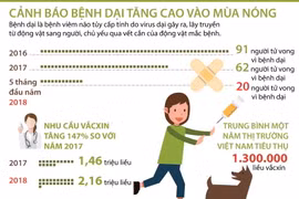 [Infographics] Đã có 20 người tử vong vì bệnh dại trong 5 tháng