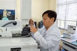 Nghiên cứu khoa học là yêu cầu đào tạo với các tiến sỹ. (Ảnh: Thu Hoài/TTXVN)