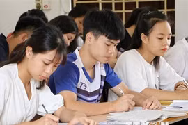 (Ảnh minh họa: TTXVN)
