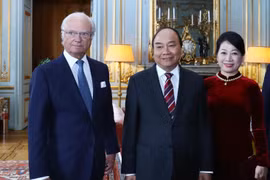 Thủ tướng Nguyễn Xuân Phúc hội kiến Nhà vua Thụy Điển Carl Gustaf XVI. (Ảnh: Thống Nhất/TTXVN)