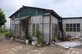 Công trình xây dựng trái phép xây dựng trên đất nông nghiệp, đất bãi bồi ven sông tại quận Long Biên. (Ảnh: Mạnh Khánh/Vietnam+)