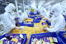 Trái cây xuất khẩu bao gồm tươi và đóng hộp là một trong những mặt hàng Việt Nam có thể xuất sang Romania. (Ảnh: Vũ Sinh/TTXVN)
