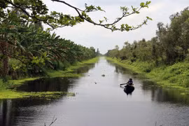 Kênh mương thông thoáng phục vụ du khách tham quan Vườn Quốc gia U Minh Thượng (Kiên Giang). (Ảnh: Lê Huy Hải/TTXVN)