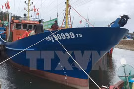 Tàu Biển Đông 01 trong ngày bàn giao. (Ảnh: Đinh Thị Hương/TTXVN)