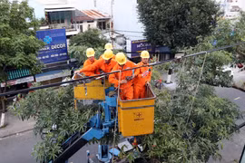 Quảng Nam khắc phục sự cố mất điện trên diện rộng do giông lốc 