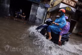 (Nguồn: Vietnam+)