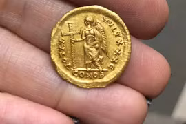 (Nguồn: IAA)