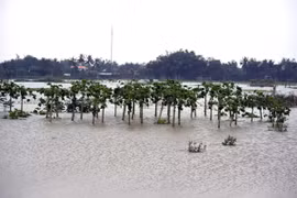 Vùng rau sạch hàng chục ha ở xã Nghĩa Dũng, thành phố Quảng Ngãi bị ngập. (Ảnh: Nguyễn Đăng Lâm/TTXVN)