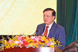 Bộ trưởng Bộ Tài chính Đinh Tiến Dũng phát biểu tại hội nghị, ngày 8/1. (Ảnh: Vietnam+)