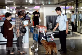 Nhân viên hải quan sử dụng chó nghiệp vụ kiểm tra hành lý nghi vấn của khách nhập cảnh. (Ảnh: TTXVN)