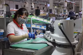 Các doanh nghiệp tích cực khôi phục xuất khẩu, tháo gỡ khó khăn do COVID-19. (Ảnh: TTXVN)