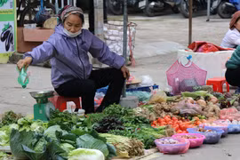 Chỉ số giá tiêu dùng tháng Một tăng 0,06% do nhu cầu mua sắm Tết. (Ảnh: Hạnh Nguyễn/Vietnam+)