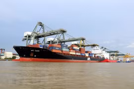 Bốc dỡ hàng hóa tại cảng Cát Lái, Thành phố Hồ Chí Minh. (Ảnh: TTXVN)