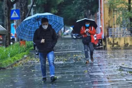 Ảnh minh họa. (Ảnh: Tuấn Anh/TTXVN)