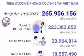 Cập nhật tình hình tiêm vaccine phòng COVID-19 được tiêm ở Việt Nam
