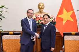 Bộ trưởng Ngoại giao Bùi Thanh Sơn và Đại sứ Liên hiệp Vương quốc Anh và Bắc Ireland tại Việt Nam. (Ảnh: TTXVN phát)