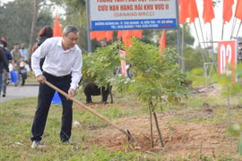 Lãnh đạo, cán bộ, người lao động thành phố Đà Nẵng tham gia hưởng ứng Tết trồng cây. (Ảnh: Văn Dũng/TTXVN)
