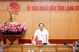 Phó Chủ tịch Ủy ban Nhân dân tỉnh Lạng Sơn Lương Trọng Quỳnh phát biểu chỉ đạo. (Ảnh: Thái Thuần/TTXVN)