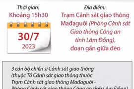 Sạt lở ở đèo Bảo Lộc: Tiếp tục tìm kiếm thi thể nạn nhân mất tích