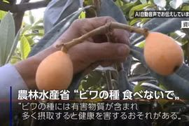 (Nguồn: nhk.or.jp)