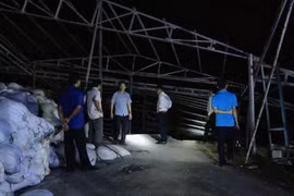 Văn phòng Thường trực Ban Chỉ huy Phòng, chống thiên tai và Tìm kiếm cứu nạn tỉnh Bạc Liêu kiểm tra hiện trường sạt lở tại Công ty TNHH Một thành niên thủy sản Trường Phúc, ấp Canh Điền, xã Long Điền Tây, huyện Đông Hải. (Ảnh: Tuấn Kiệt/TTXVN)