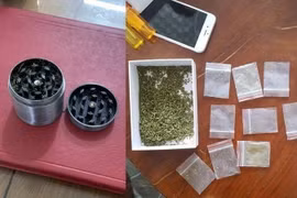 Tang vật phạm tội được thu giữ của các đối tượng. (Ảnh: TTXVN phát)