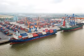Xếp dỡ hàng hóa container tại một cảng biển Việt Nam. (Ảnh: CTV/Vietnam+)