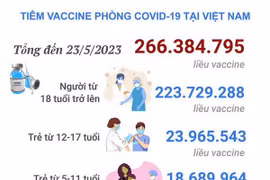 [Infographics] Tình hình tiêm vaccine phòng COVID-19 tại Việt Nam 