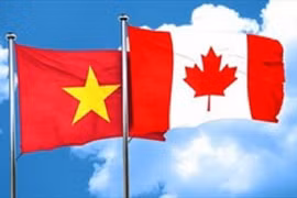 (Ảnh minh họa: TTXVN)