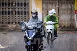 Ảnh minh họa. (Nguồn: Vietnam+)