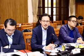 Thứ trưởng Ngoại giao Đỗ Hùng Việt, Tổ trưởng Tổ công tác liên ngành chủ trì cuộc họp. (Ảnh: Lâm Khánh/TTXVN)