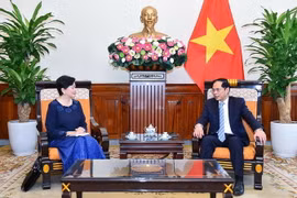 Bộ trưởng Ngoại giao Bùi Thanh Sơn tiếp bà Chea Kimtha, Đại sứ Đặc mệnh toàn quyền Vương quốc Campuchia đến chào nhân dịp nhận nhiệm vụ công tác tại Việt Nam. (Ảnh: TTXVN phát)