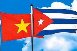 Tổ chức Cuộc thi trực tuyến tìm hiểu Quan hệ Hữu nghị Việt Nam-Cuba