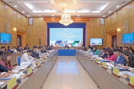 Toàn cảnh cuộc họp. (Nguồn: Bộ Kế hoach và Đầu tư)