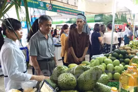 Người tiêu dùng lựa chọn các sản phẩm nông sản an toàn. (Ảnh: Thanh Tâm/Vietnam+)