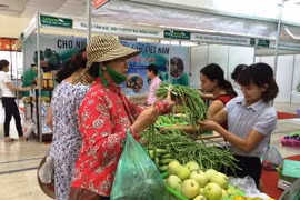 Người tiêu dùng mua rau quả tại phiên chợ nông sản. (Ảnh: Thanh Tâm/Vietnam+)