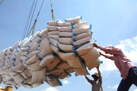 Bốc xếp gạo xuất khẩu ở cảng Sài Gòn. (Ảnh: Đình Huệ/TTXVN)