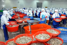 Kim ngạch xuất khẩu nông, lâm, thủy sản đạt hơn 20 tỷ USD