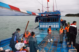Ảnh minh họa. (Nguồn: Nguyễn Hoàng/TTXVN)