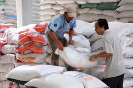 Bốc xếp gạo phục vụ xuất khẩu. (Ảnh: Đình Huệ/TTXVN)