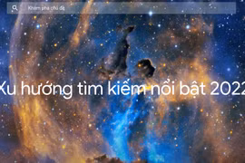 (Ảnh chụp màn hình)