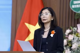Điều phối viên thường trú Liên hợp quốc tại Việt Nam Pauline Tamesis. (Ảnh: An Đăng/TTXVN)