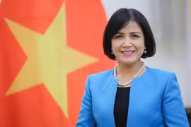 Đại sứ Lê Thị Tuyết Mai, Trưởng Phái đoàn đại diện Việt Nam bên cạnh Liên hợp quốc, Tổ chức Thương mại thế giới và các tổ chức quốc tế khác tại Geneva của Thụy Sĩ. (Nguồn: mofa.gov.vn)