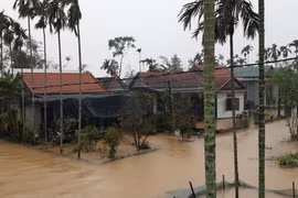 (Ảnh minh họa: Mai Trang/TTXVN)