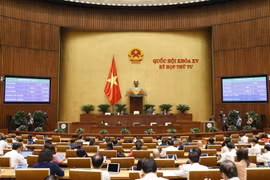 Quốc hội biểu quyết thông qua Nghị quyết ban hành Nội quy kỳ họp Quốc hội-sửa đổi. (Ảnh: Doãn Tấn/TTXVN)