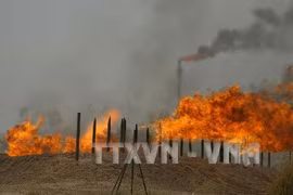 Khai thác dầu mỏ tại Kirkuk, cách thủ đô Baghdad 225km. (Ảnh: AFP/TTXVN)