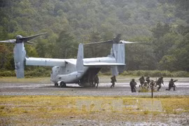 Máy bay vận tải hạng nặng MV-22 Osprey. (Ảnh: Kyodo/TTXVN)