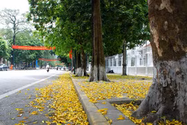 Bắc Bộ duy trì thời tiết nắng đẹp nhưng không quá hanh khô