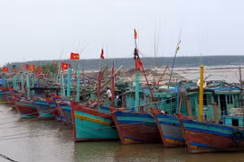 Các tỉnh Đông Bắc Bắc Bộ đã có mưa vừa, mưa to đến rất to